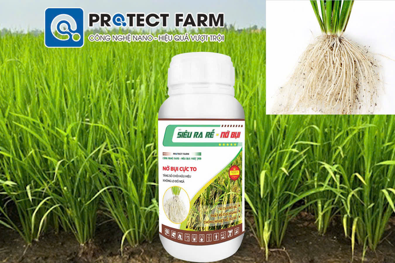 Phân bón hữu cơ Siêu ra rễ nở bụi 